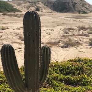 Meet your Posher, Jared